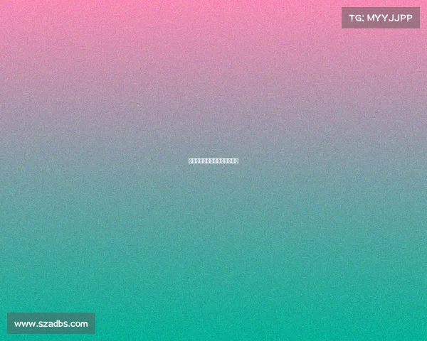 上海一六八网络有限公司怎么样